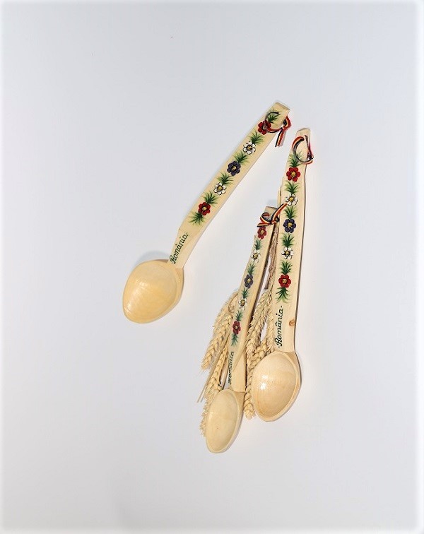 1614687348-28-LINGURA PICTATA.jpg